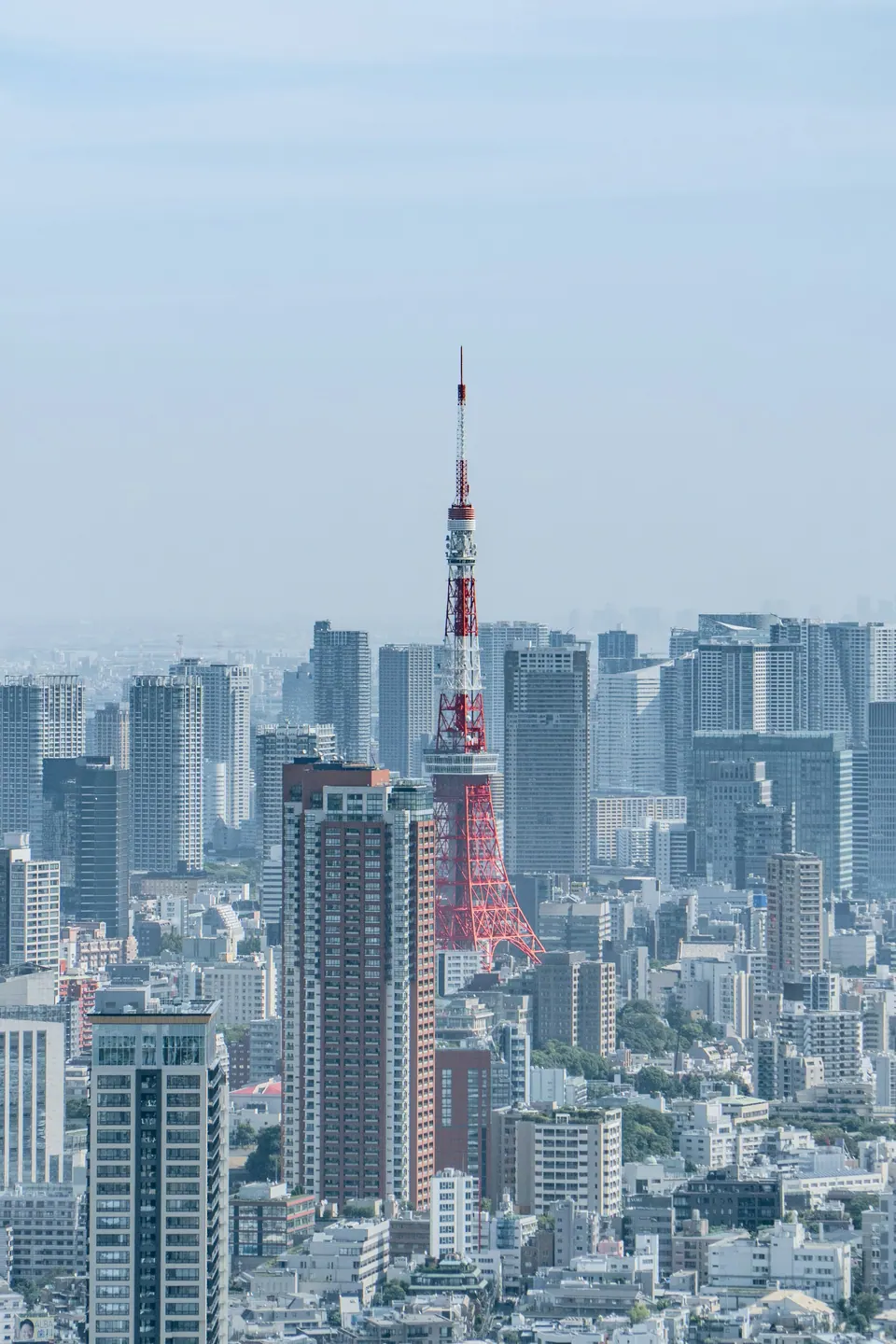 Tokyo Tower rising among the buildings of the Tokyo skyline